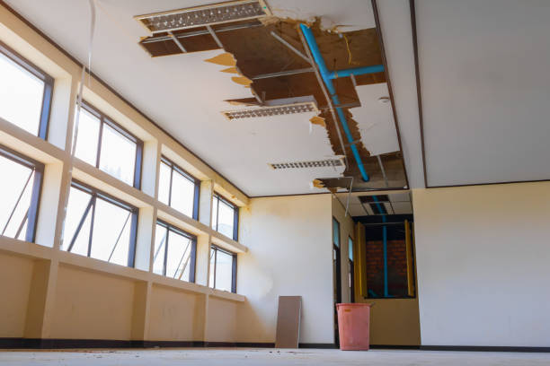 Best Emergency water damage restoration  in Offutt Af, NE