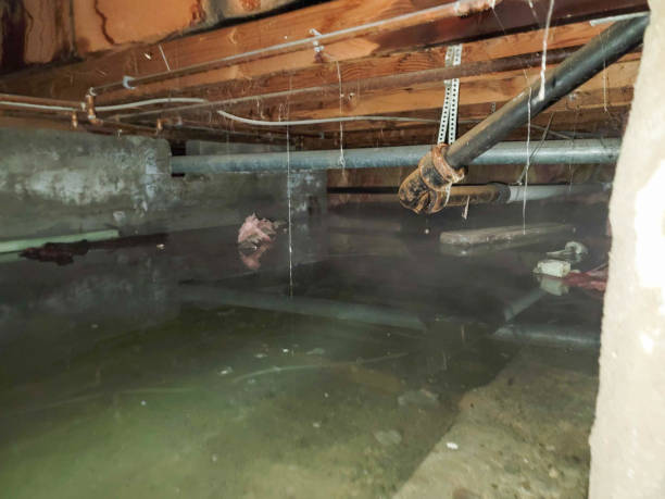 Best Commercial water damage restoration  in Offutt Af, NE