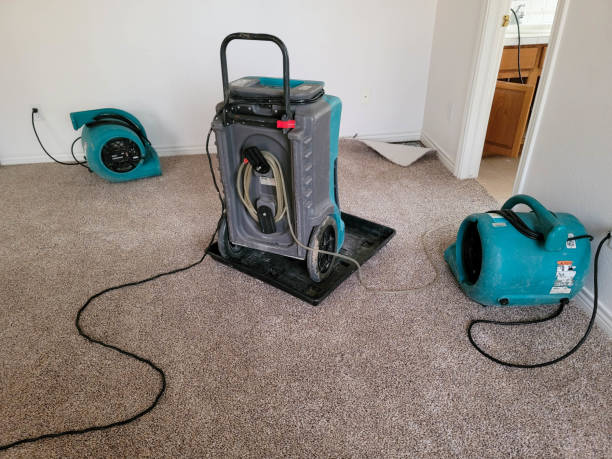 Sewage cleanup and water damage restoration in NE
