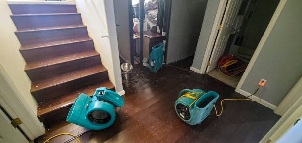 Best 24-hour water damage restoration  in Offutt Af, NE