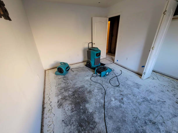Best 24/7 water damage repair  in Offutt Af, NE