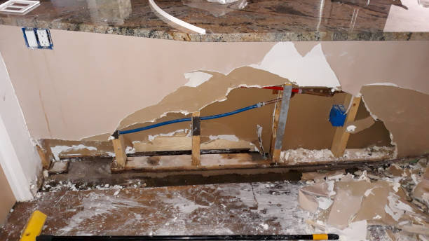 Best Flooded house restoration  in Offutt Af, NE