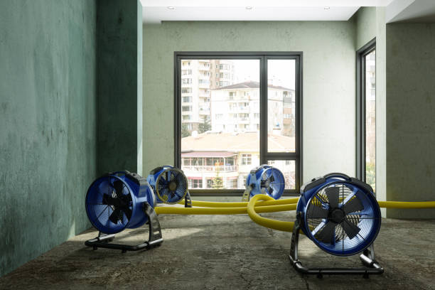 Best Sewage cleanup and water damage restoration  in Offutt Af, NE